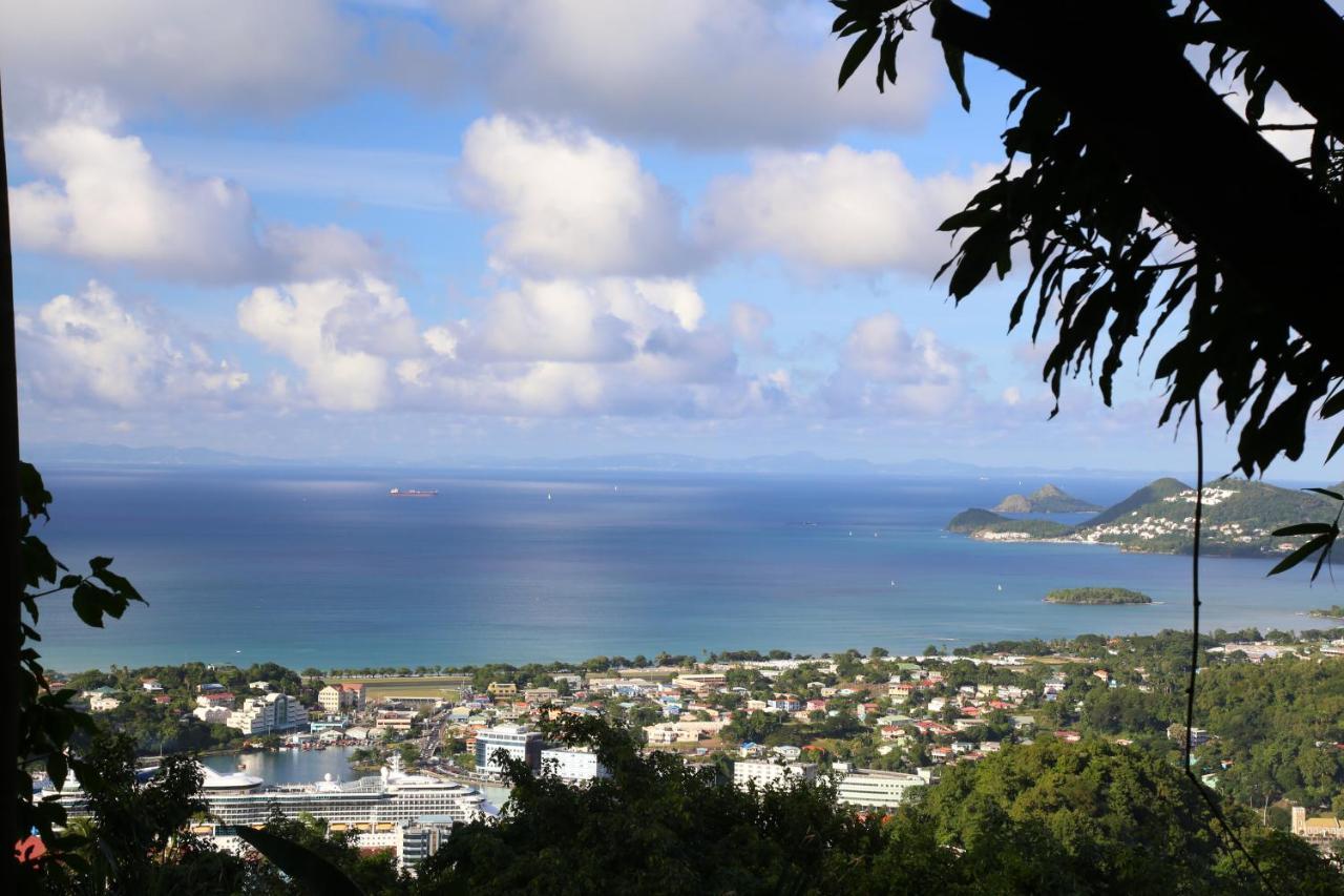 Pink Plantation House Hotel Castries Bagian luar foto